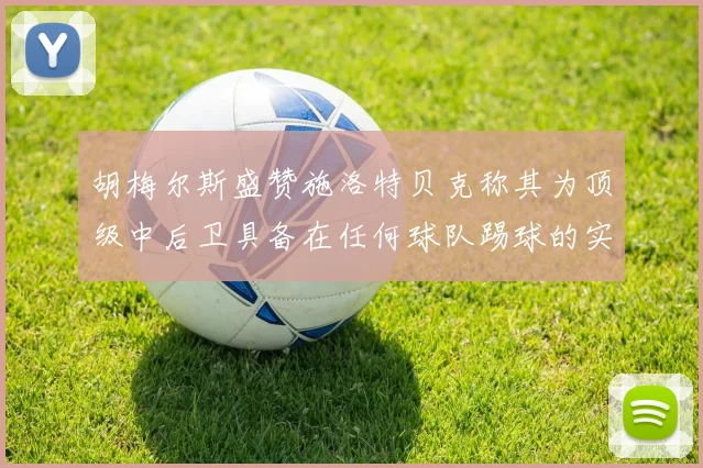 胡梅尔斯盛赞施洛特贝克称其为顶级中后卫具备在任何球队踢球的实力